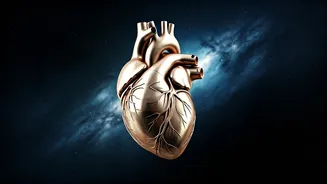 Your Weekly Health Horoscope: November 17-23