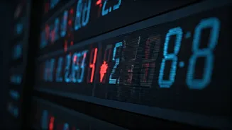 Navigating Market Mood: Expert Insights & Investment Ideas