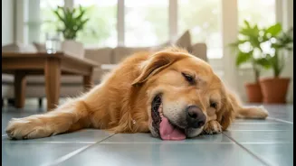 A Smarter Way to Read Indoor Pet Overheating in Humid Homes without Missing Context
