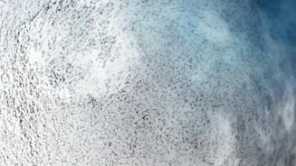 The Moon-Free Shower Turns Cloud Cover Into the Deciding Factor