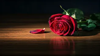 5 Relationship Killers: Unveiling Behaviors That Dim Your Love Spark