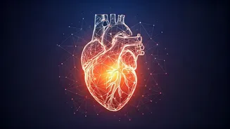 Unlock a Healthier Heart: The Powerful Link Between Your Social Life and Cardiovascular Well-being