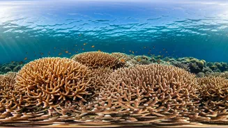 Unforgettable Travel Experiences Await: Top Destinations!