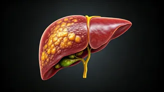 Weight Gain: It Silently Harms Your Organs