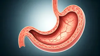 Unlocking Fat Loss: Cutting-Edge Science on Dieting