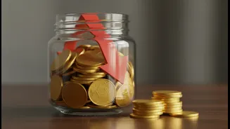 Do Not Confuse Regular Interest Payments With Guaranteed Capital Safety