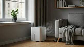 Small Homes Need Smarter Anti-Damp Habits