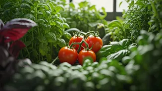 Homegrown Food Is Trending Again