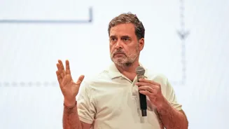Rahul Gandhi Writes To MP CM, Seeks More Posts In Teacher Recruitment