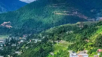 High-Altitude Monsoon Wellness: Coorg And Araku Valley Homestays Attract Weary Urban Professionals