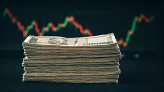 Shadowfax Technologies IPO: A Look Ahead