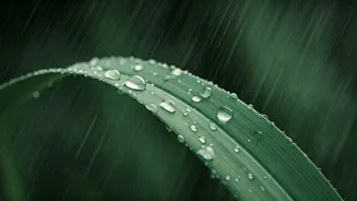 Rainy Season Is The Right Time To Refresh Skincare