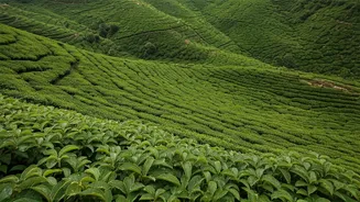 Monsoon Makes North India Every Traveller's Favourite