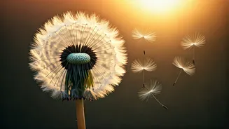 Love's Grand Finale: April 12-18, 2026 - Embrace Heartfelt Endings & New Beginnings