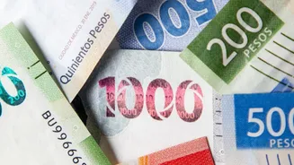 Start investing with ₹500 micro SIPs