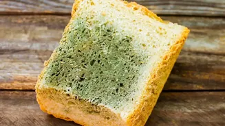 Why Some foods lose flavour or texture in unnecessary refrigeration