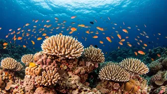 India's Yearly Voyage: 12 Must-Visit Destinations