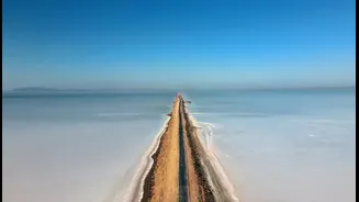 Gujarat’s ‘Road to Heaven’ Goes Viral After Anand Mahindra’s Post: Location, Route & Travel Plan Explained