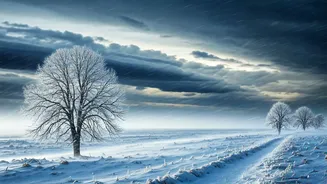 Arctic Blast: North India's Deep Freeze & Weather Alerts