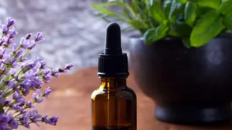 Understanding Peppermint Compresses: Why Persistent Headaches Need Proper Medical Assessment