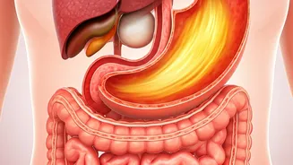 The Impact of Ghee and Oil on Your Body: A Deep Dive