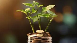How Managed Index Funds Help Beginners Under 25 Avoid Direct Stock Losses