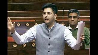 All Is Well In AAP? Raghav Chadha Removed As Party's Rajya Sabha Deputy Leader