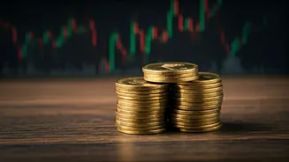 Budget 2026: Navigating Tax & Remittance Decisions