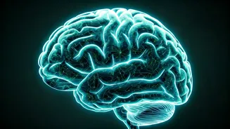 5 Brain Exercises for Sharper Focus & Recall