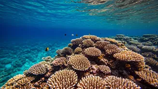 Australia's Wonders: Nature & Underwater Adventures