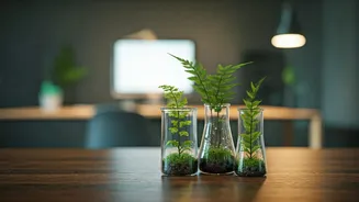 Why Workspace Redesign Boards Spotlight Tiny Indoor Foliage Flasks