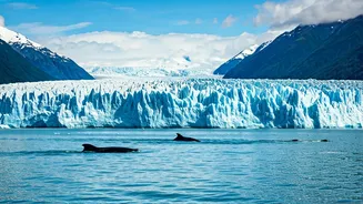 Juneau, Alaska: Unveiling 11 Unforgettable Adventures in the Glacial Capital