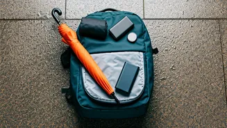 Rain Can't Stop These Clever Travellers
