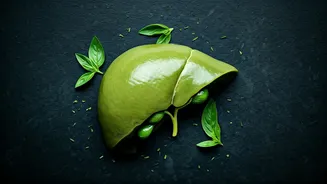 Heal Fatty Liver With These Herbs Naturally