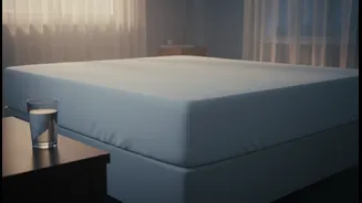 How Anti-Mould Mattress Encasements Protect Rented Flat Linens From Damp Coastal Air Current Damage