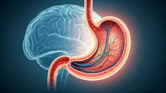 Stress Hurts Your Gut: Anxiety and Digestion