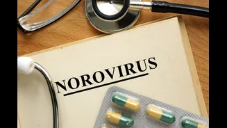 Norovirus Infection Explained: Symptoms, Causes, Treatment and Prevention