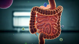 Monsoon Gut Health: Shielding Your Stomach from Seasonal Infections