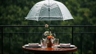 Couples Need Rain-Safe Honeymoon Planning Now