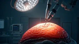 Decoding the Viral 'Vitamin B12 Is…Not Biryani' Claim