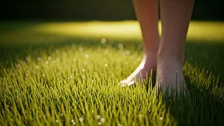 Why Gen Z Embraces Barefoot Walks On Cool Grass