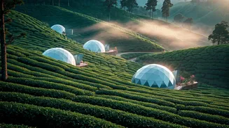 Misty Geodesic Domes Set Inside Tea Farms Highlight Romantic Lists