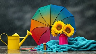 Bring More Colour To Rainy Days