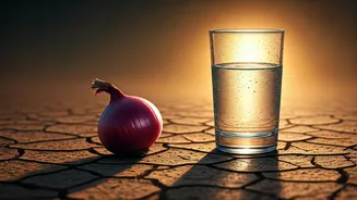 Onion in Pocket vs. Reality: Debunking Heatwave Myths and Embracing Proven Survival Tactics