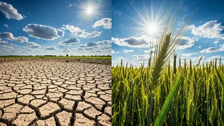 India's Malnutrition Crisis: Beyond Dal-Chawal