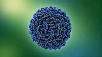 Building Muscle: A Smart Guide for Severely Underweight Individuals