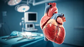 Heart Health: 6 Common Factors Affecting Patients