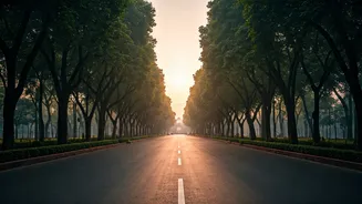 Tree Routes Make Delhi Feel Slow And Beautiful