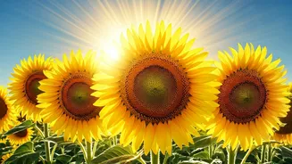 October 22, 2025: Daily Horoscopes Are Here