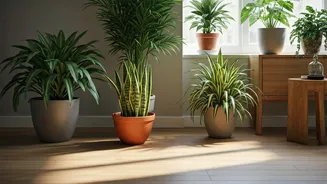 Indian Pet Homes Need Safer Indoor Plant Choices